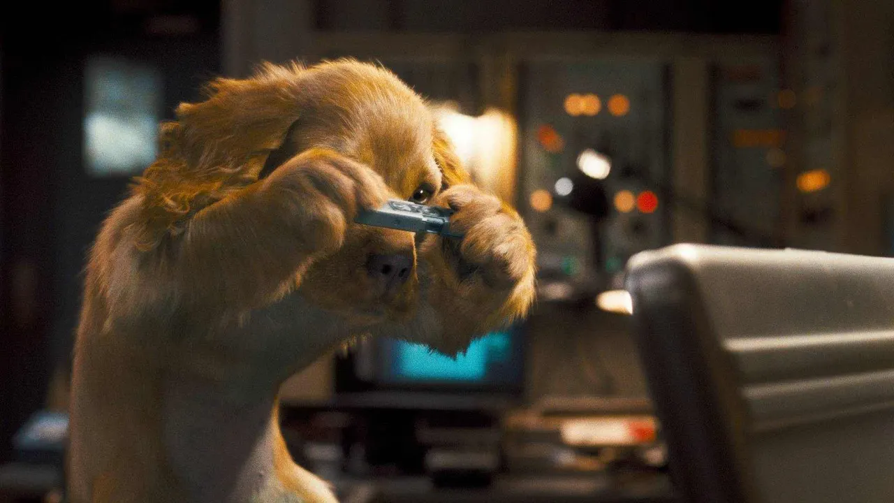 Cena de Como Cães e Gatos 2: A Vingança de Kitty Galore (2010)