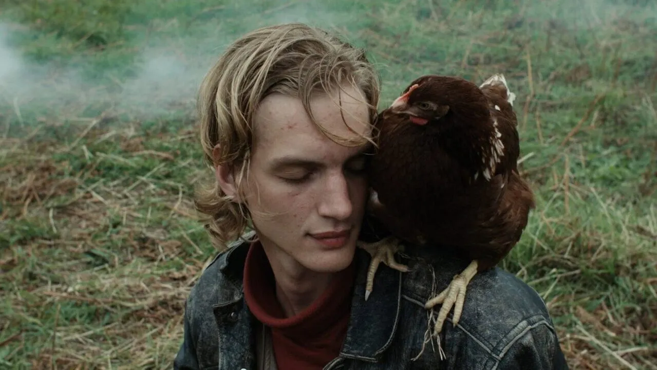Cena de Wander (2022)