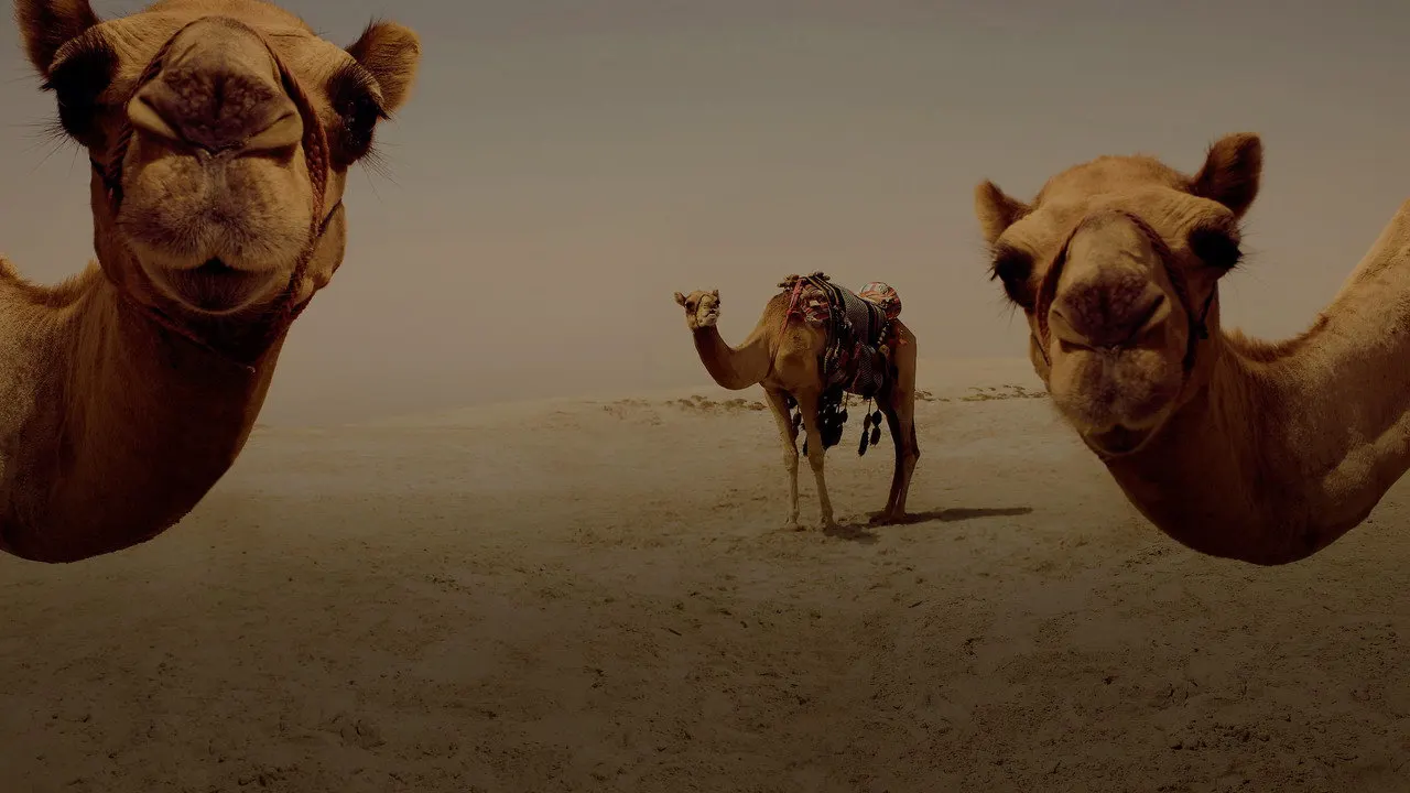 Cena de Um Trem para o Qatar (2022)