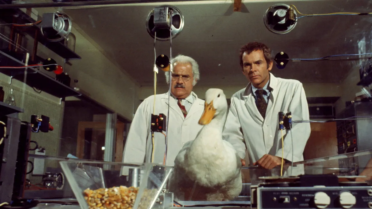 Cena de A Pata de Um Milhão de Dólares (1971)
