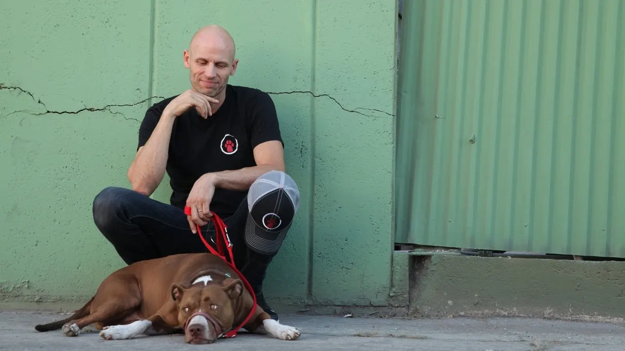 Cena de Reabilitação Canina (2019)