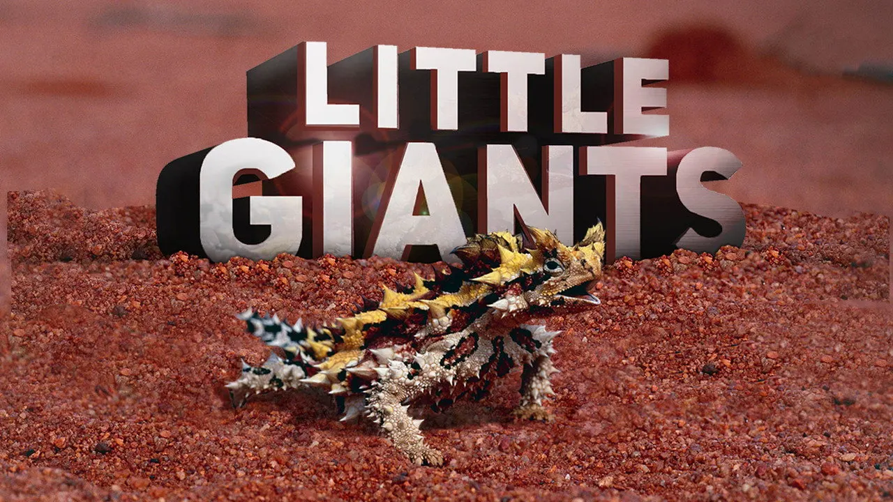 Cena de Pequenos Gigantes da Natureza (2019)