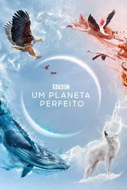 Pôster de Um Planeta Perfeito
