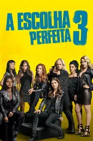 Pôster de A Escolha Perfeita 3