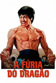 Pôster de A Fúria do Dragão
