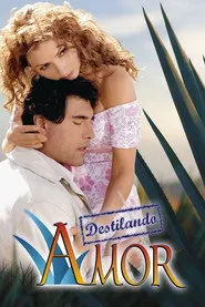 Pôster de Amor