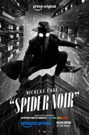 Pôster de Spider-Noir