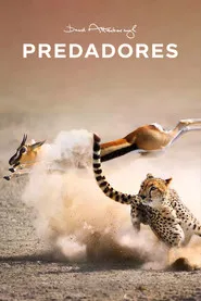 Pôster de Predadores