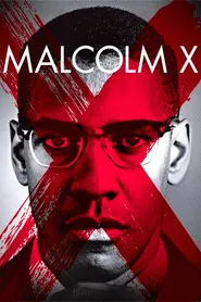 Pôster de Malcolm X