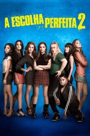 Pôster de A Escolha Perfeita 2