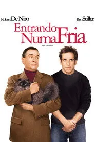 Pôster de Entrando numa Fria
