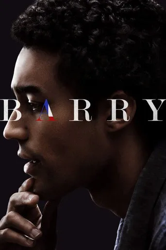 Pôster de Barry (2016)