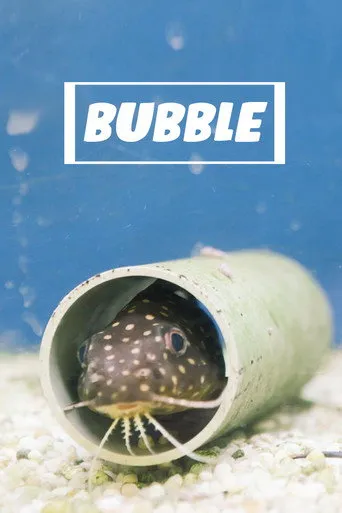 Pôster de Bubble (2020)