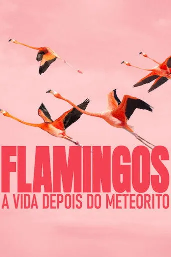 Pôster de Flamingos A Vida Depois do Meteorito 4K