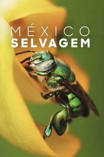 Pôster de Mexico Selvagem (2017)