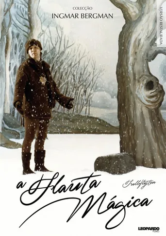 Pôster de A Flauta Mágica (1975)
