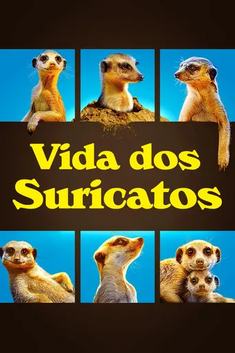 Pôster de Vida dos Suricatos (2021)