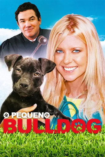 Pôster de O Pequeno Bulldog (2020)