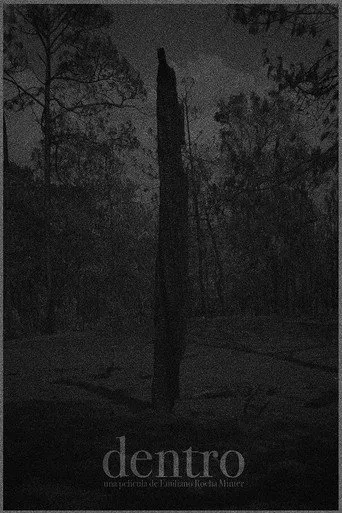 Pôster de Dentro (2013)