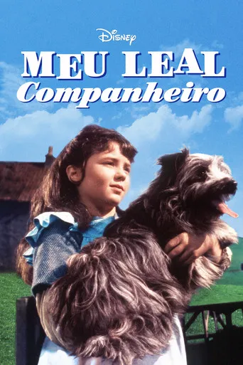 Pôster de Meu Leal Companheiro (1961)