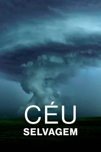 Pôster de Céu Selvagem (2025)