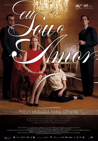 Pôster de Um Sonho de Amor (2010)