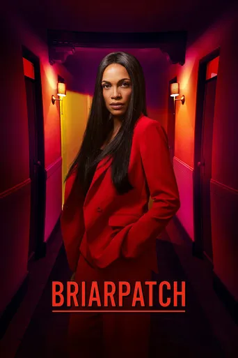 Pôster de Briarpatch (2020)
