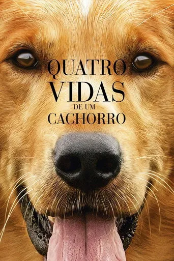 Pôster de Quatro Vidas de um Cachorro (2017)