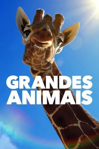 Pôster de Grandes Animais (2023)