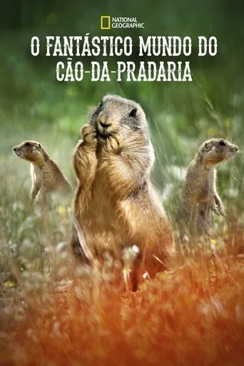 Pôster de O Fantástico Mundo do Cão-da-Pradaria (2019)