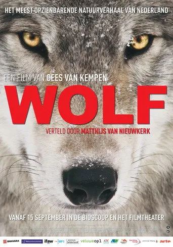 Pôster de Wolf (2013)