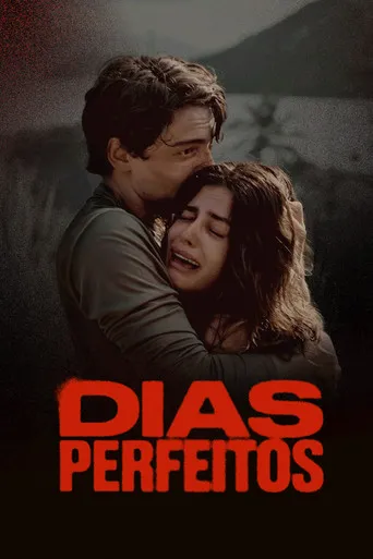Pôster de Dias Perfeitos (2025)