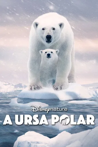 Pôster de A Ursa Polar 4K [HDR]