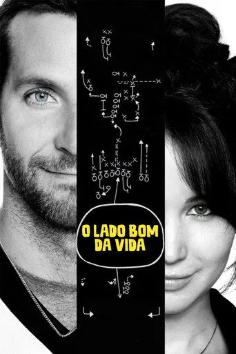 Pôster de O Lado Bom da Vida (2012)