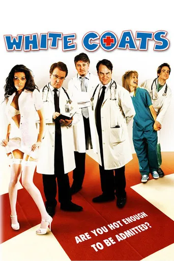 Pôster de Os Estagiários (2004)