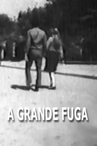 Pôster de A Grande Fuga (1972)