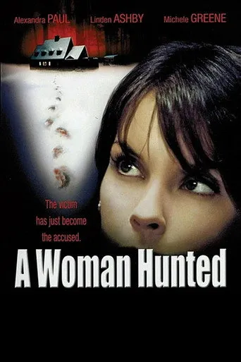 Pôster de Aconteceu Naquela Noite (2003)