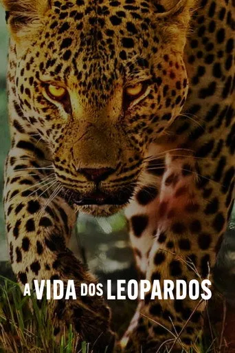 Pôster de A Vida dos Leopardos (2024)