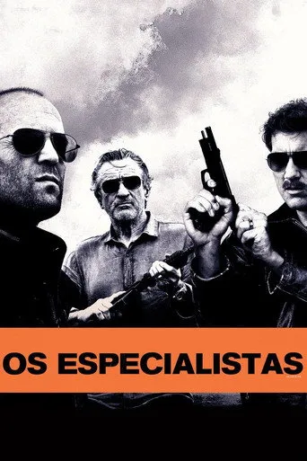 Pôster de Os Especialistas (2011)