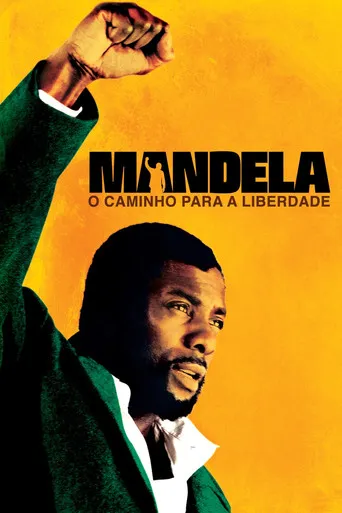 Pôster de Mandela: O Caminho para a Liberdade (2013)
