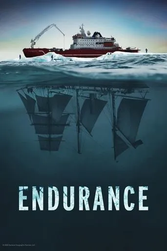 Pôster de Endurance 4K