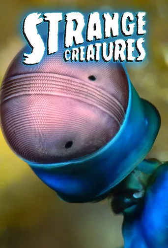 Pôster de Criaturas Estranhas (2015)