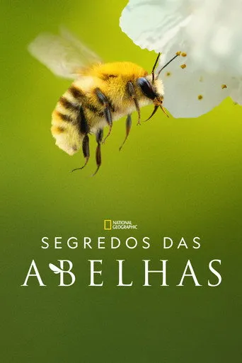 Pôster de Segredos das Abelhas (2026)