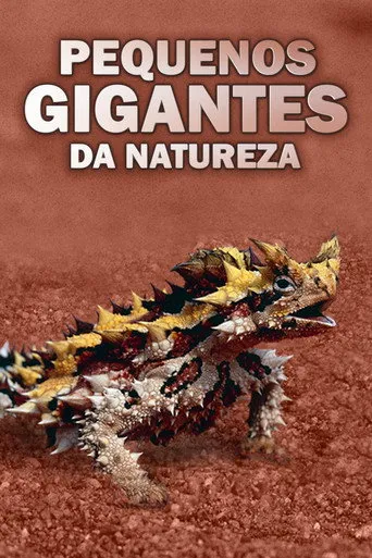 Pôster de Pequenos Gigantes da Natureza (2019)