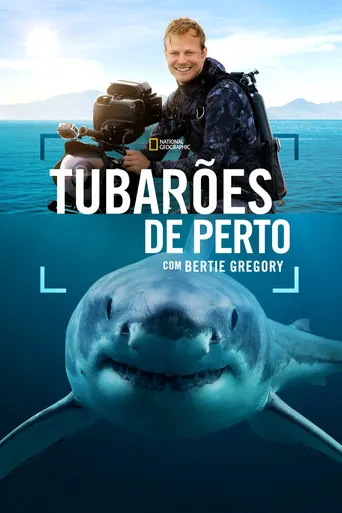 Pôster de Tubarões de Perto com Bertie Gregory [Lançamento] (2025)