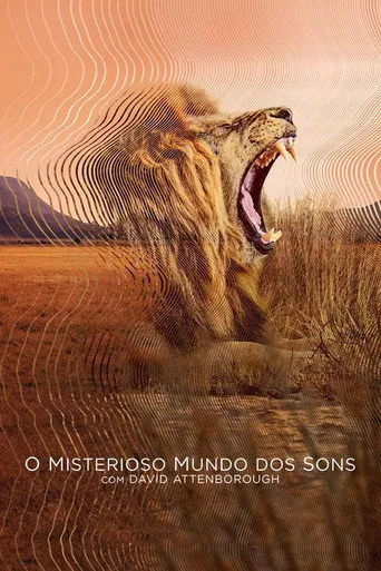 Pôster de O Misterioso Mundo dos Sons (2024)
