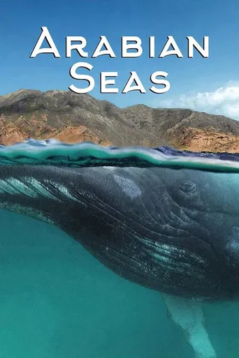 Pôster de Os Mares da Arábia (2018)