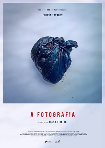 Pôster de A Fotografia