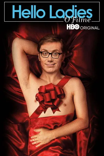 Pôster de Hello Ladies O Filme (2014)