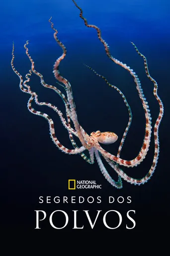 Pôster de Segredos dos Polvos (2024)